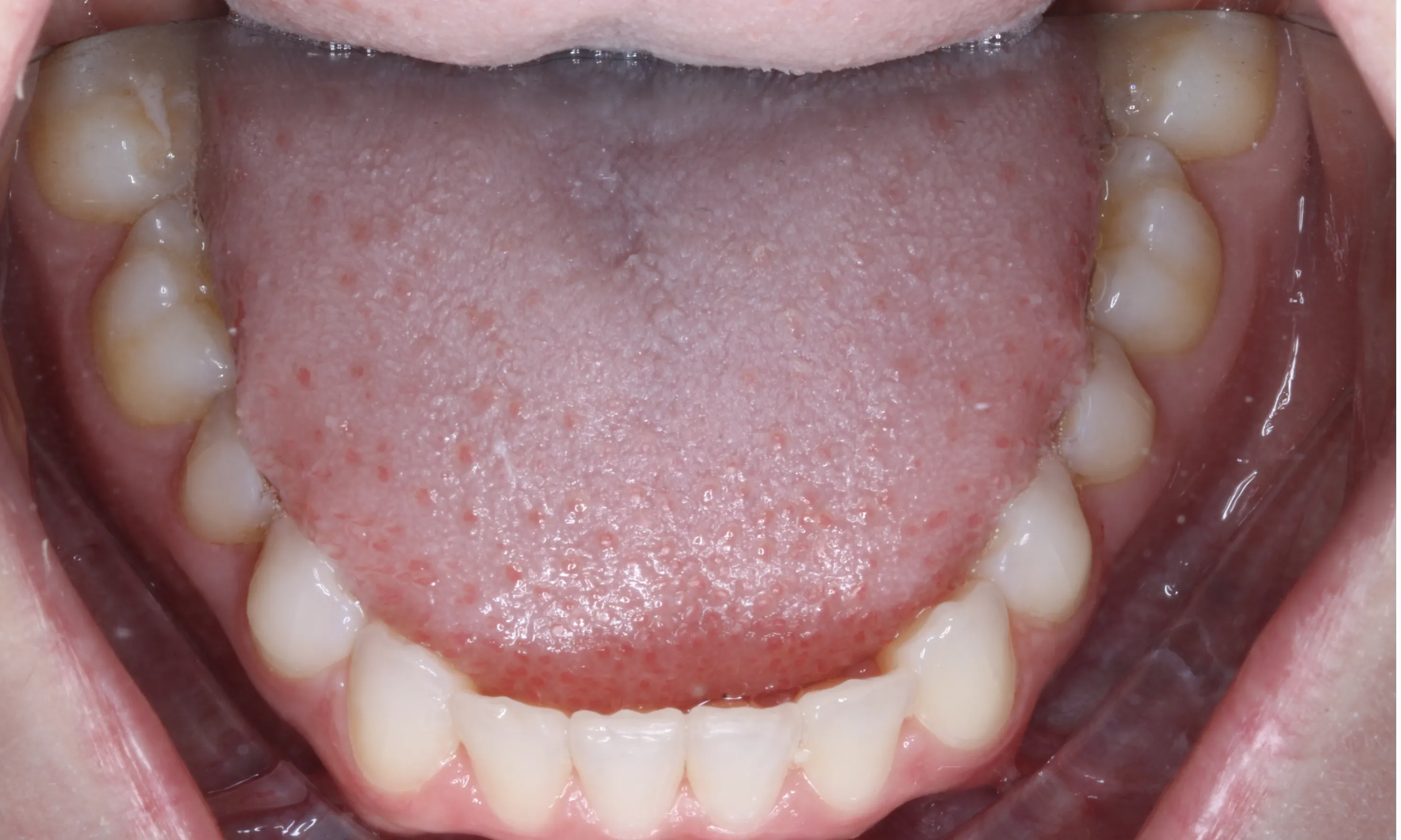 smile-gallery gallery